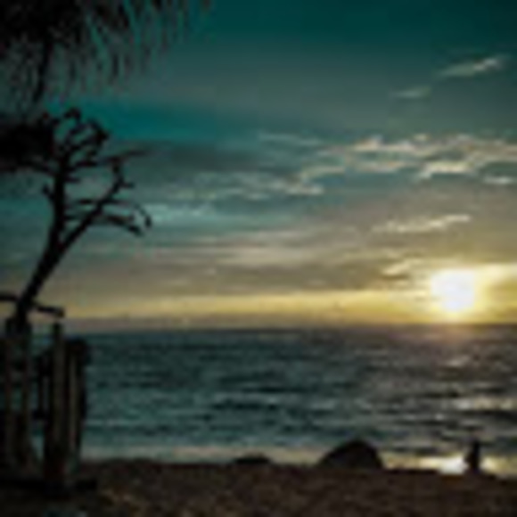 Meet your Posher, Danielle - Picture 1 of 1